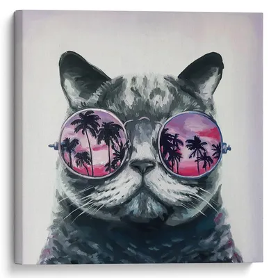 крутой кот в темных очках отдыхает на пляже, краска, солнечные очки,  животное фон картинки и Фото для бесплатной загрузки