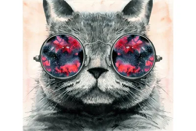 Кот в солнечных очках стоковое фото. изображение насчитывающей праздники -  72024398
