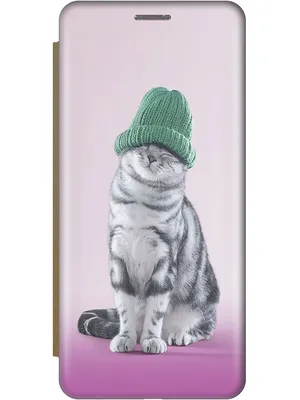 Чехол на Tecno Spark 10C \"Кот в зеленой шапке\" золотистый, купить в Москве,  цены в интернет-магазинах на Мегамаркет