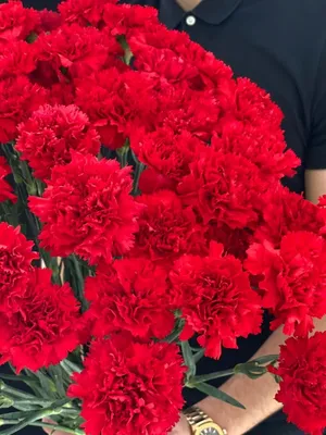 Купить красную гвоздику с доставкой в Благовещенске ❤ Azeriflores.ru —  Благовещенск