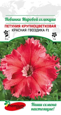 51 красная гвоздика - купить в Москве по цене 6390 р - Magic Flower