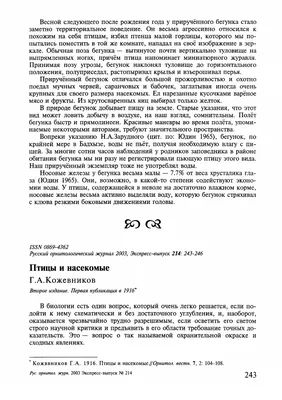 У нас две задачи — зафиксировать факт и снять красиво» Интервью с курскими  орнитологами-любителями | Интернет-журнал Морс | Курск