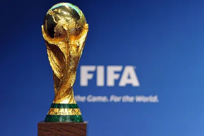 Чемпионат мира по футболу 2022: кто выиграл