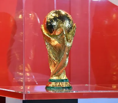 Кубок чемпионата мира по футболу FIFA из чистого золота привезли в  Челябинск - KP.RU