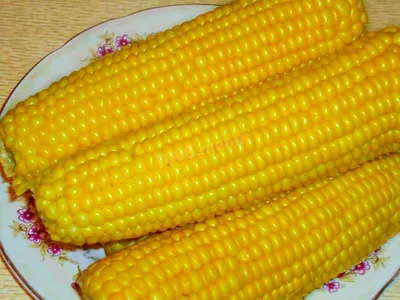 К чему снится кукуруза — сонник: кукуруза во сне | 7Дней.ру