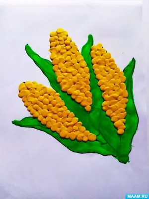Кукуруза, картинка — Заюшка