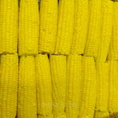 Кукуруза сладкая ISKA 425мл - отзывы покупателей на маркетплейсе Мегамаркет  | Артикул: 100049521420
