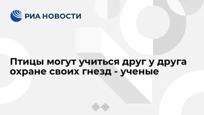 Прежде, чем получить еду, птенцы прекрасных расписных малюров должны спеть  «пароль». | Пикабу