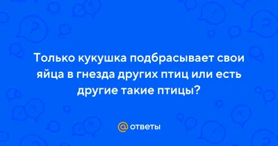 Орнитоним «Кукушка» в языковой картине мира носителей русского и испанского  языков – тема научной статьи по языкознанию и литературоведению читайте  бесплатно текст научно-исследовательской работы в электронной библиотеке  КиберЛенинка