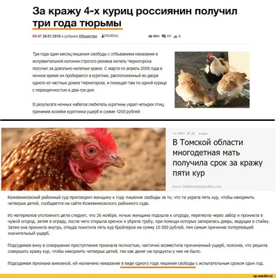 SU)Плюшевая игрушка с имитацией курицы, взаимодействие родителей и детей,  плюшевое моделирование, плюшевая игрушка с курицей, декоративные украшения  – лучшие товары в онлайн-магазине Джум Гик