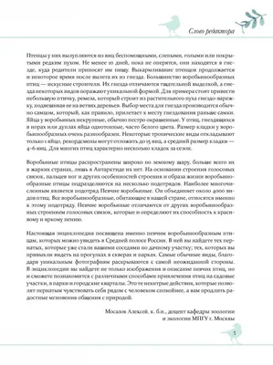 лабиринт для детей. проводи птицу через лабиринт в гнездо с яйцами.  перепел. вектор Иллюстрация вектора - иллюстрации насчитывающей гнездй,  чертеж: 215196343