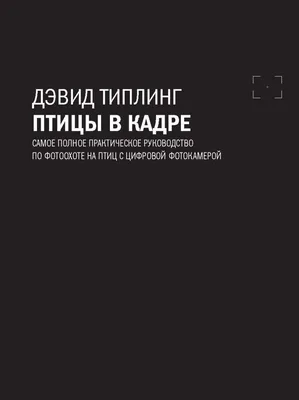 Иллюстрация 1 из 5 для Птицы - Алиса Ткачева | Лабиринт - книги. Источник:  Лабиринт