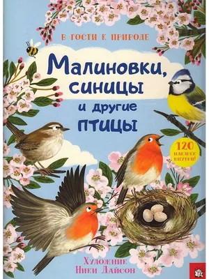 Иллюстрация 3 из 24 для Птицы | Лабиринт - книги. Источник: Лабиринт