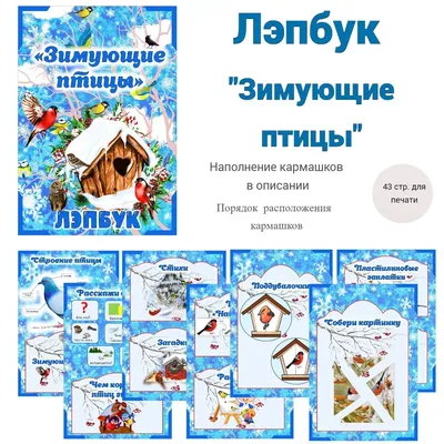 Лэпбук. Математика: количество и счет. Для детей 3-4 лет: творческие  задания, разрезной… - купить подготовки к школе в интернет-магазинах, цены  на Мегамаркет | ДЛ-1