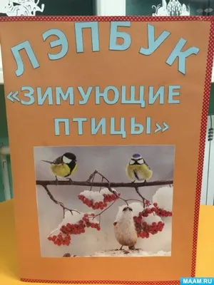 Лэпбук «Зимующие птицы» (9 фото). Публикация 1065179. Воспитателям детских  садов, школьным учителям и педагогам - Маам.ру