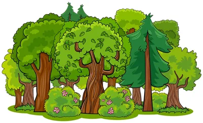 Картинка леса для детей фото