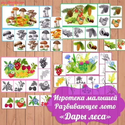 развивающая игра лото Дары леса, настольные игры скачать