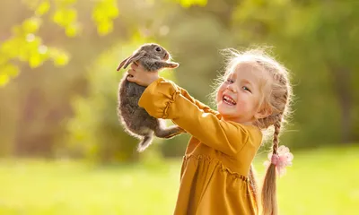 Птицы, Живущие Пастбищ Лес. Найдено Онлайн. Насекомые И Черви. Фотография,  картинки, изображения и сток-фотография без роялти. Image 22552031