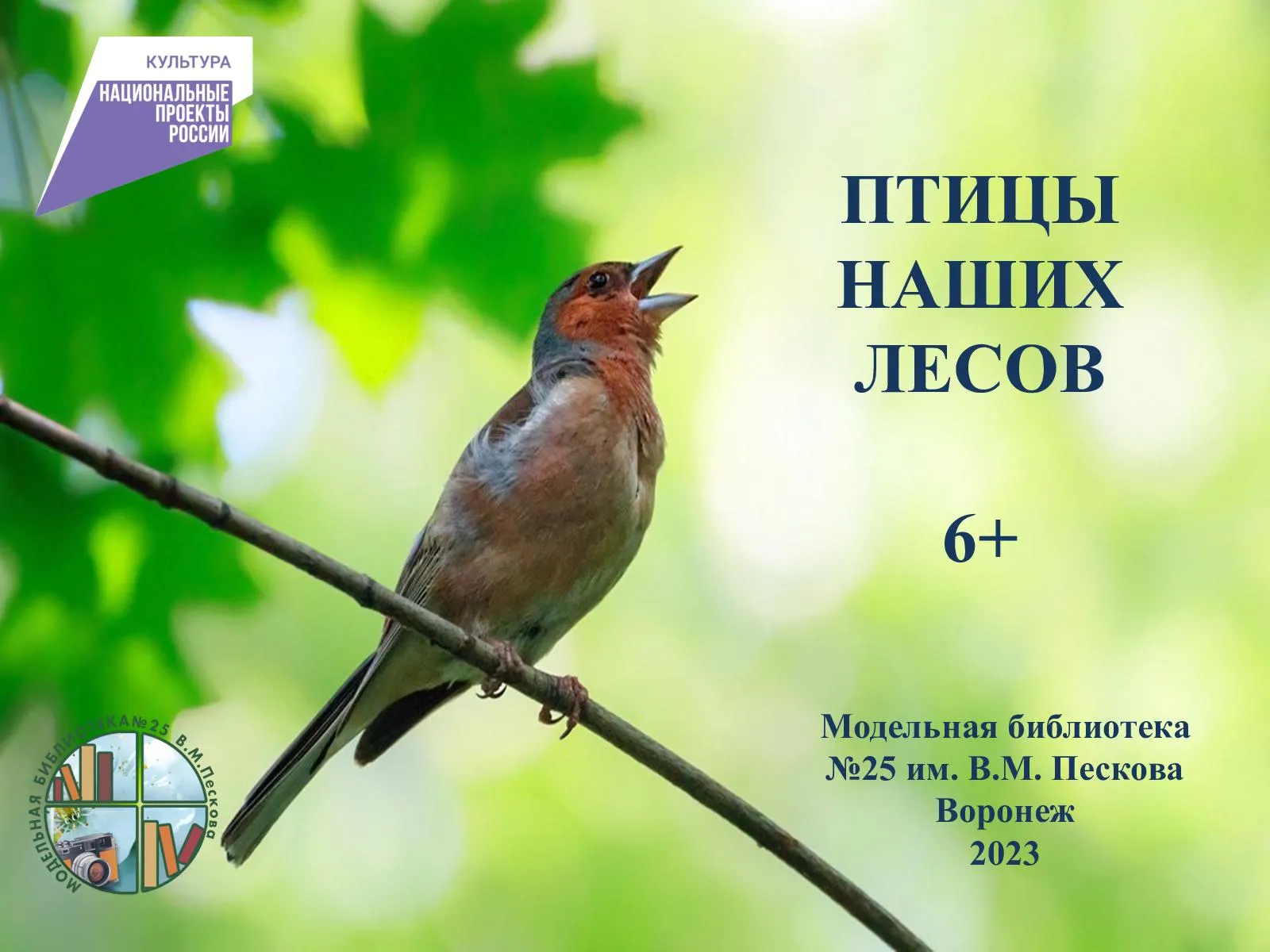 Пение зяблика весной. Певчие птицы Зяблик. Зяблик птичка певчая. Зарянка Зяблик Дрозд. Зяблик птица пение.