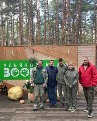 Полет птиц в снежный день