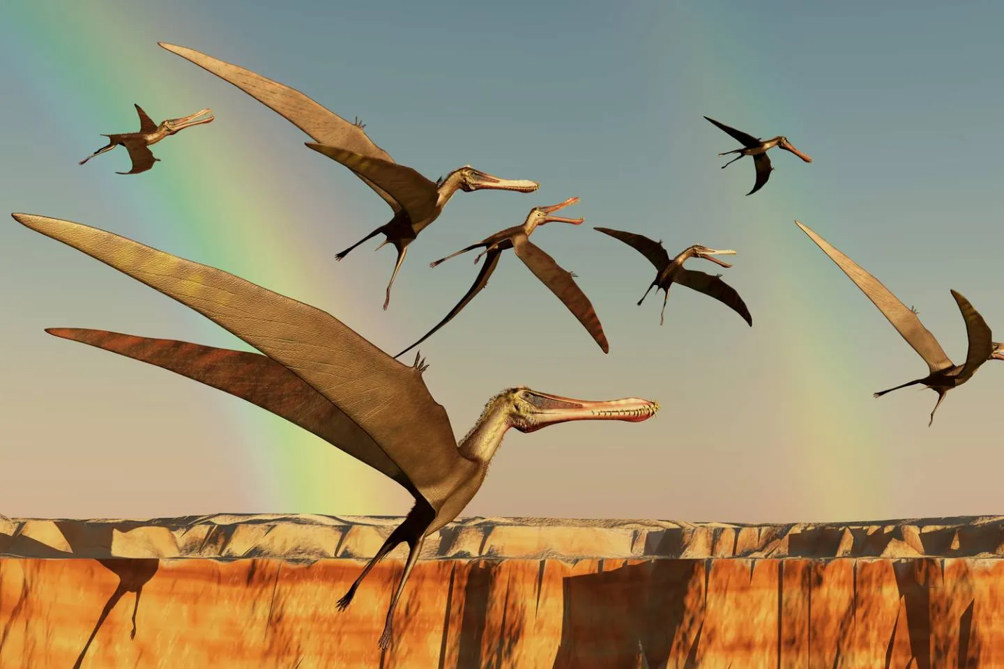 Кетцалькоатль Птерозавр. Кетцалькоатль птеродактиль. Летающий динозавр Кетцалькоатль. Птерозавры Юрского периода. Птерадон