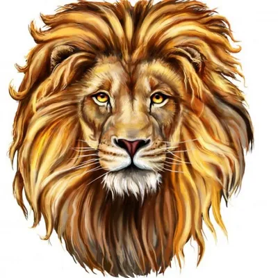 голова льва рисунок для торта: 2 тыс изображений найдено в Яндекс.Картинках  | Lion painting, Lion face drawing, Lion canvas painting