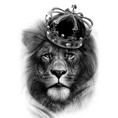лев в короне вектор PNG , лев, голова льва, дикий лев PNG картинки и пнг  рисунок для бесплатной загрузки