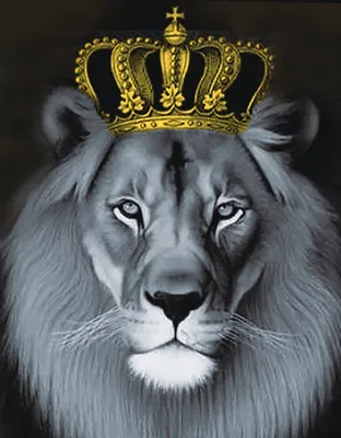 Картинка льва с короной - 63 фото