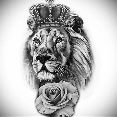 лев с короной иллюстрация вектора. иллюстрации насчитывающей лео - 216671950