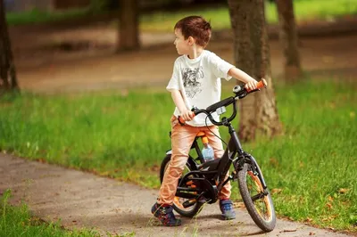 Купить картину маслом Мальчик на велосипеде (Мальчик на велосипеде) от 5850  руб. в галерее DasArt