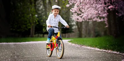 Торт Мальчик на велосипеде.