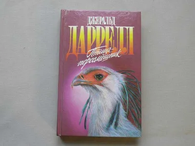 Мама, мамуля, любимая\": \"Синяя птица\" в Белгороде - Агентство социальной  информации