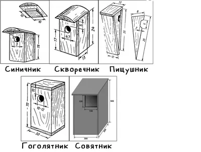 Как сделать домик для птиц: собираем домик для пищухи | Природа и экология  | annie_wild_life | Дзен
