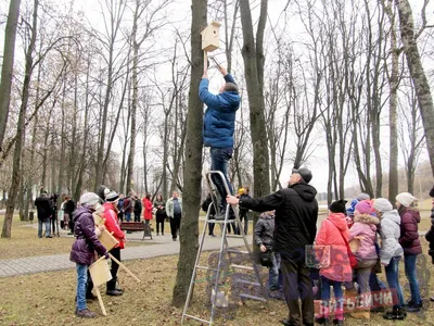 Синичник - скворечник для синичек сделать своими руками фото и чертежи