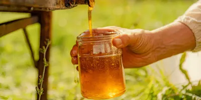 Мёд натуральный липовый, WellFoods, 200 мл - Цена в Москве