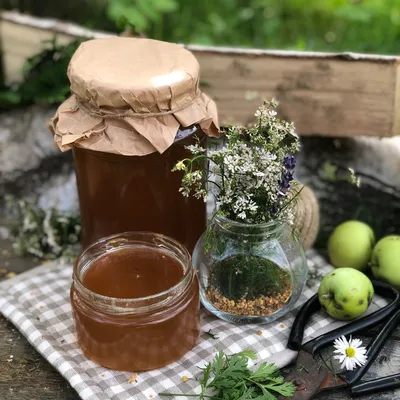 Как отличить натуральный мед от искусственного - главные правила | РБК  Украина