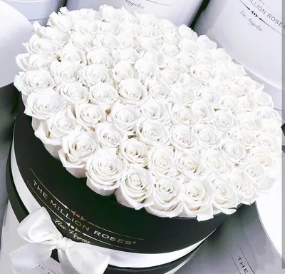 Букет Миллион алых роз - купить с доставкой по Киеву - лучшие цены на Розы  в интернет магазине доставки цветов STUDIO Flores