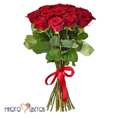 Скачать 2048x1152 розы, много, красный, поверхность обои, картинки  ультраширокий монитор