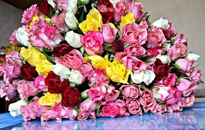 Квіти Чернігів - Розы, на одной ветке которой много цветов, в букете  смотреться, как поляна миниатюрных жемчужинок. Букет оригинальных и милых  роз спрей порадует любого получателя своим обилием бутонов и нежностью  оттенков