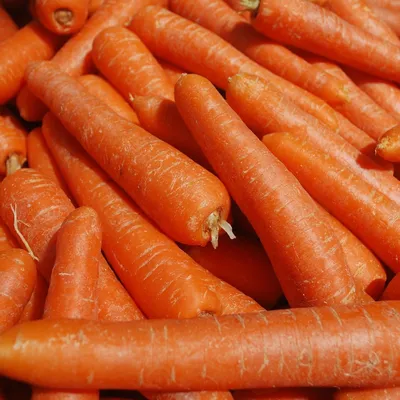 Морковь Изолирована На Белом — стоковые фотографии и другие картинки Морковь  - Морковь, Изолированный предмет, Белый фон - iStock