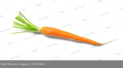 Морковь Изолированная На Белом Фоне Выбранный Путь — стоковые фотографии и  другие картинки Морковь - iStock