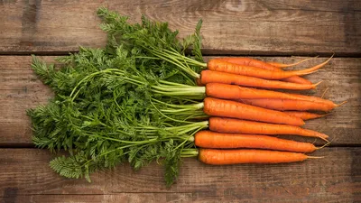 свежая морковь овощная наклейка изображение PNG , морковь иллюстрация,  органические овощи, морковь свежие овощи PNG картинки и пнг рисунок для  бесплатной загрузки