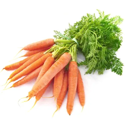Что происходит с организмом, когда вы едите морковь? - 19.09.2021, Sputnik  Беларусь