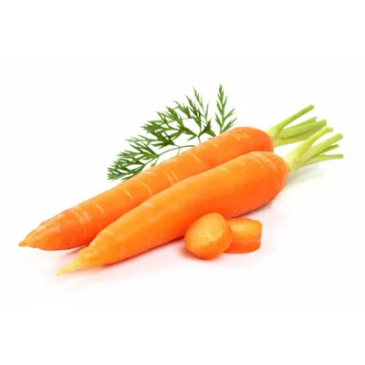 Морковь: польза и вред для здоровья мужчин, женщин и детей