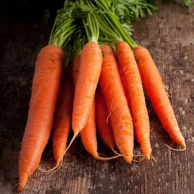 Знаете ли вы, как правильно хранить морковь в «матрешке», в воде и погребе?
