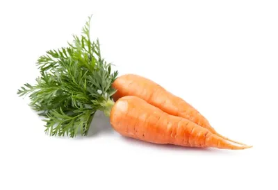 морковь и корнеплоды растут в земле, картинка моркови фон картинки и Фото  для бесплатной загрузки