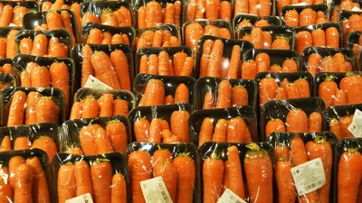 Семена Морковь, Нантская 4, 2 г, цветная упаковка, Седек в Москве: цены,  фото, отзывы - купить в интернет-магазине Порядок.ру