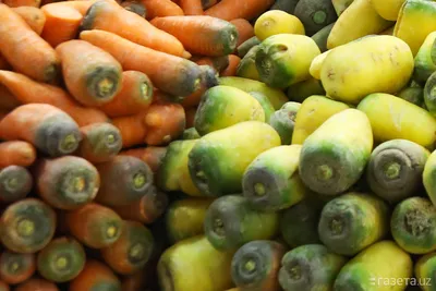 Морковь растет кривой и тонкой по этим причинам | РБК Украина