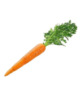 Большая Куча Вкусной Моркови Ребенка — стоковые фотографии и другие  картинки Морковь - Морковь, Сложенное стопкой, Крупный план - iStock