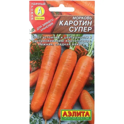 В этом году поливала морковь солью - такой сладкой еще не пробовала | 🏠  ХозВопрос | Дзен